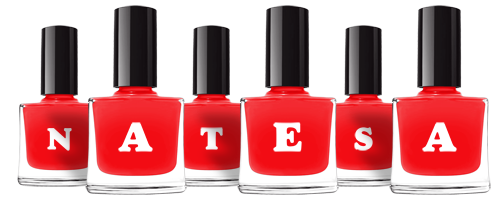 Natesa fashion logo