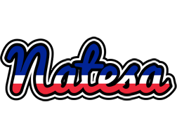 Natesa france logo