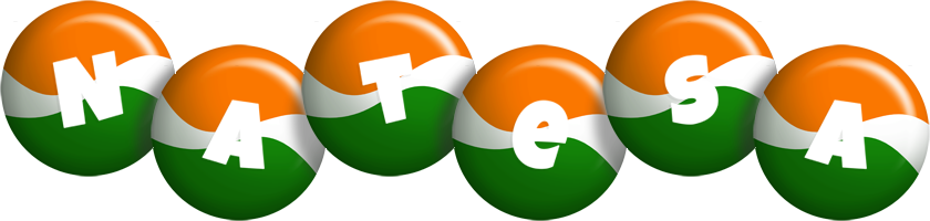 Natesa india logo