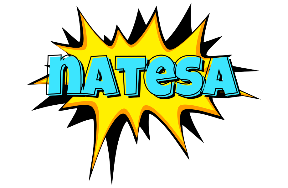 Natesa indycar logo