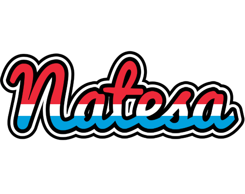 Natesa norway logo