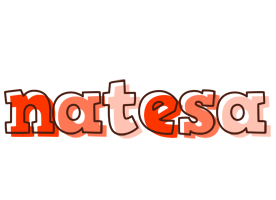 Natesa paint logo