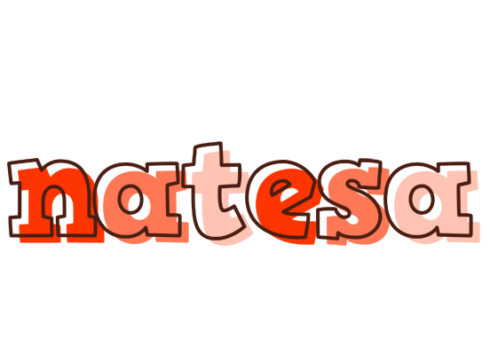 Natesa paint logo