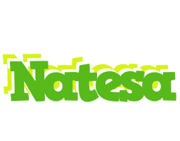 Natesa picnic logo