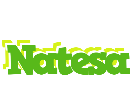 Natesa picnic logo