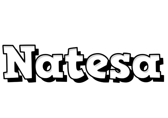 Natesa snowing logo