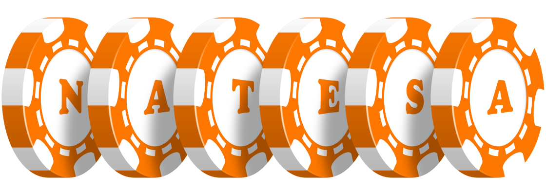 Natesa stacks logo