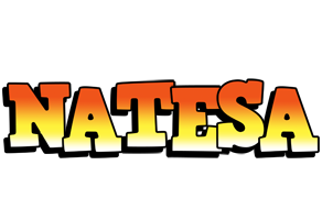 Natesa sunset logo