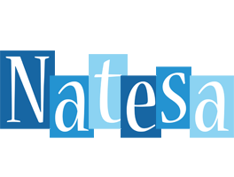 Natesa winter logo