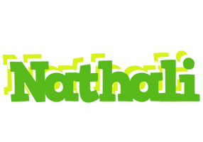 Nathali picnic logo