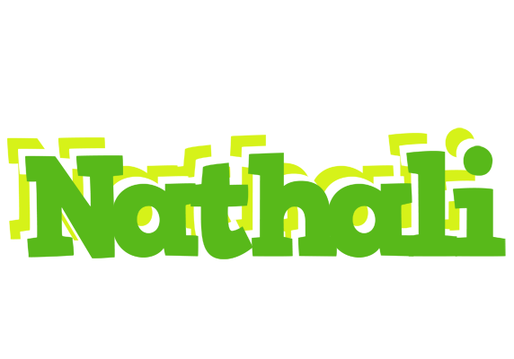 Nathali picnic logo