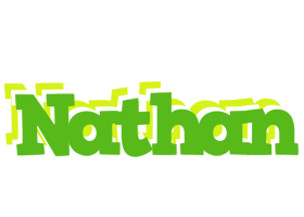 Nathan picnic logo