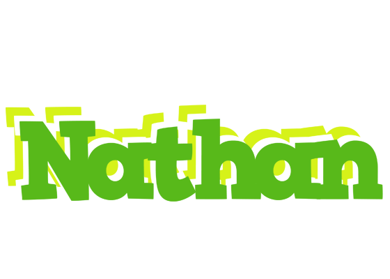 Nathan picnic logo