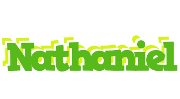 Nathaniel picnic logo