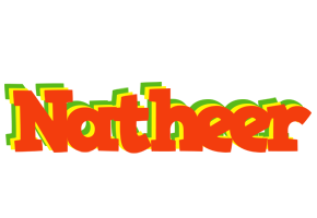 Natheer bbq logo