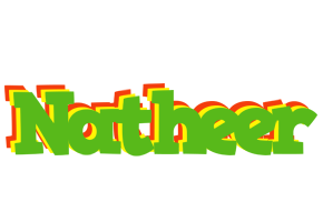 Natheer crocodile logo