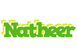 Natheer picnic logo