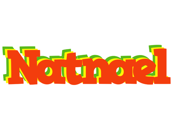 Natnael bbq logo