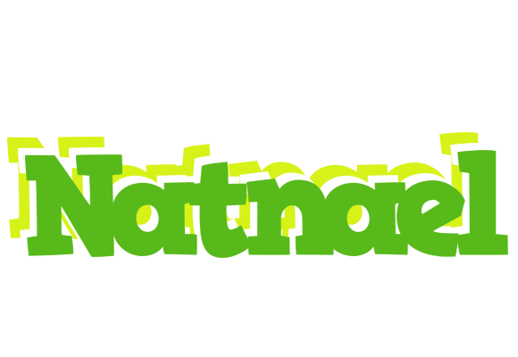Natnael picnic logo