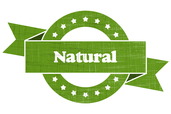 NATURAL logo effect. Colorful text effects in various flavors. Customize your own text here: https://www.textgiraffe.com/logos/natural/