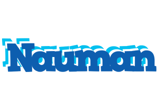 Nauman business logo