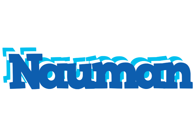 Nauman business logo
