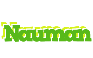 Nauman picnic logo
