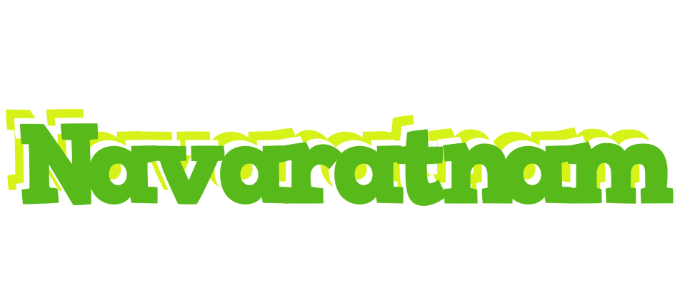 Navaratnam picnic logo