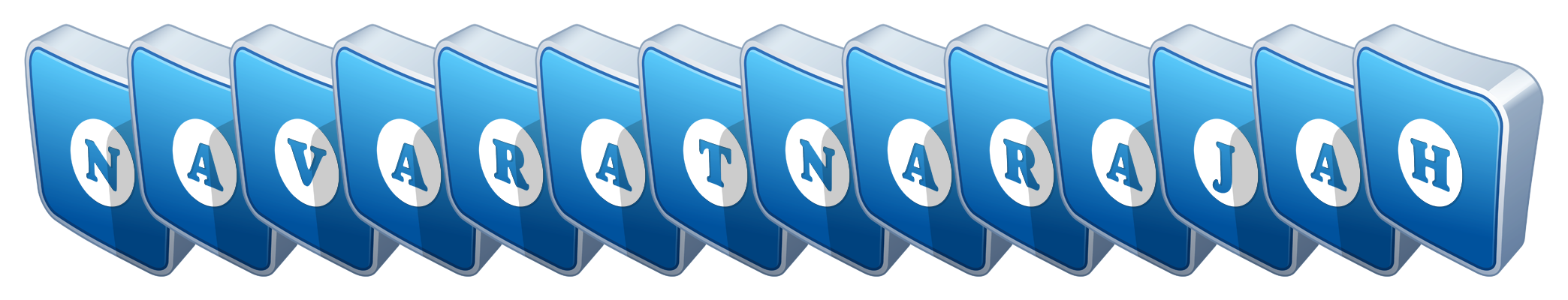 Navaratnarajah flippy logo