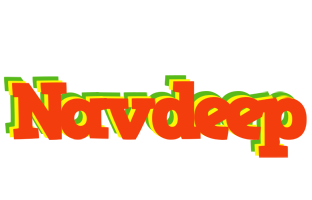 Navdeep bbq logo