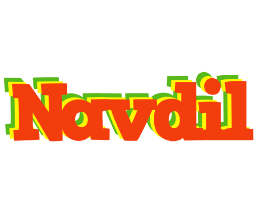 Navdil bbq logo