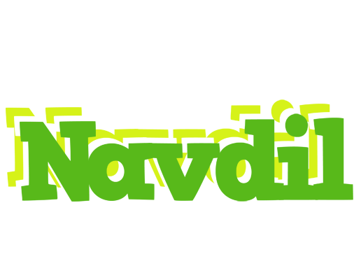 Navdil picnic logo