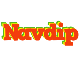 Navdip bbq logo