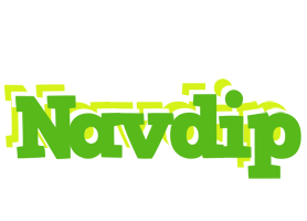 Navdip picnic logo