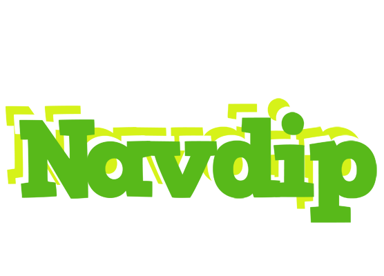 Navdip picnic logo