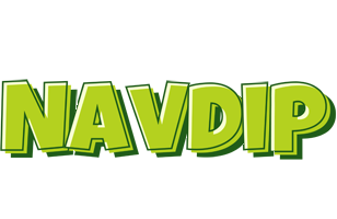 Navdip summer logo