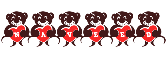 Naveed bear logo