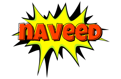 Naveed bigfoot logo