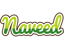 Naveed golfing logo