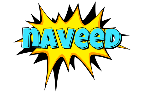 Naveed indycar logo