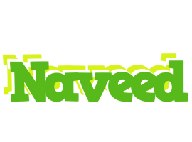 Naveed picnic logo