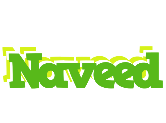 Naveed picnic logo