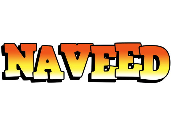 Naveed sunset logo