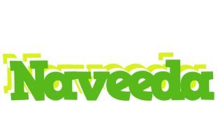 Naveeda picnic logo