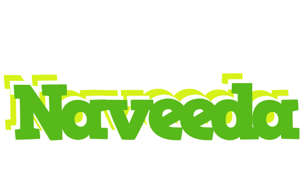Naveeda picnic logo