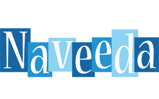 Naveeda winter logo