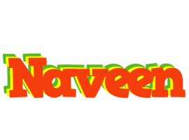 Naveen bbq logo