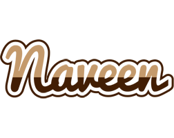 Naveen exclusive logo