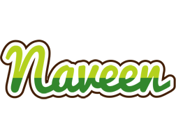 Naveen golfing logo