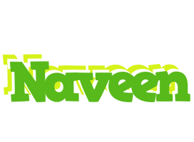 Naveen picnic logo
